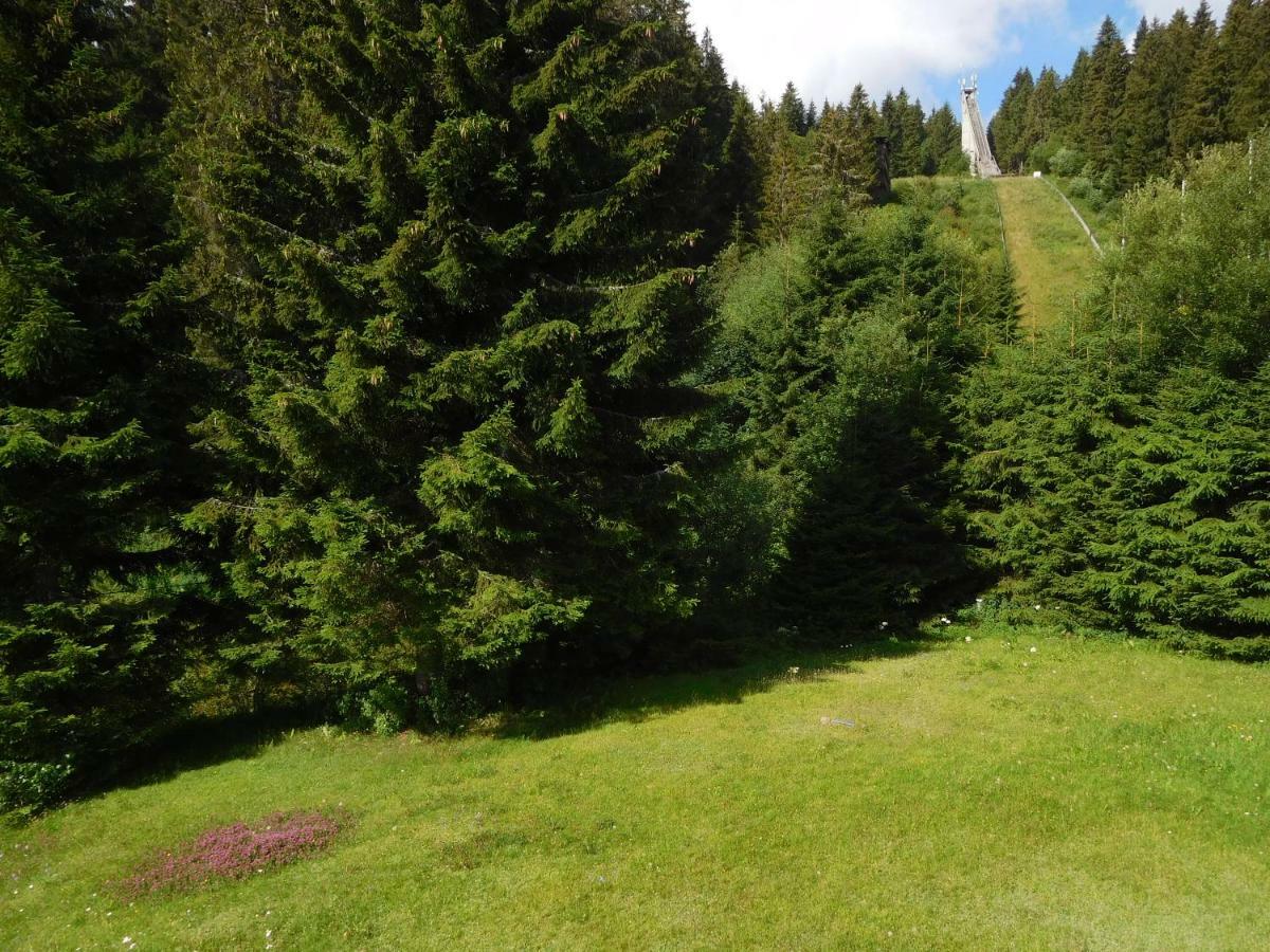 Ferienwohnung Schwarzwaldrauschen Schönwald Luaran gambar